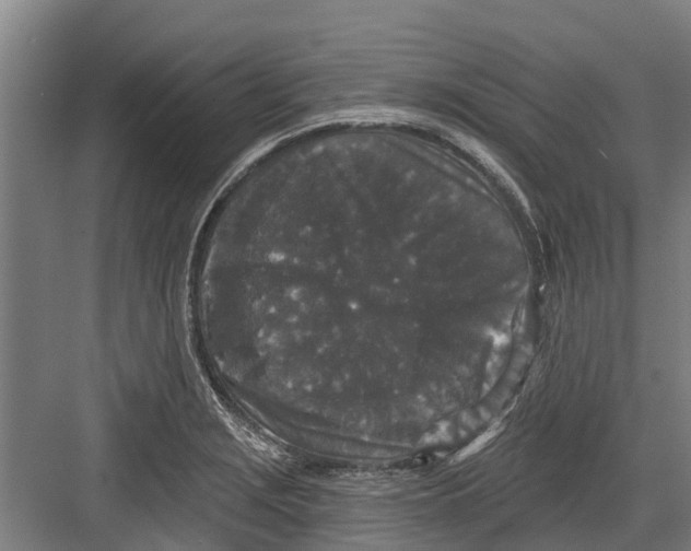 X0000082681229200702161650