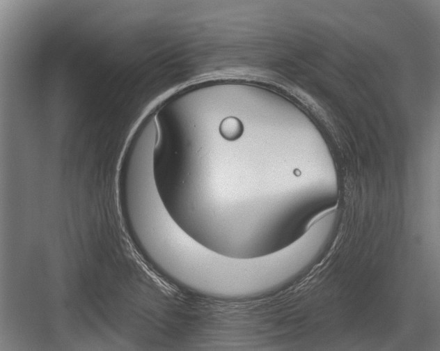 X0000082681230200702161650