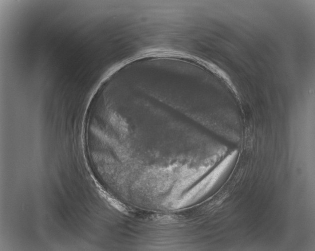 X0000082681231200702161650