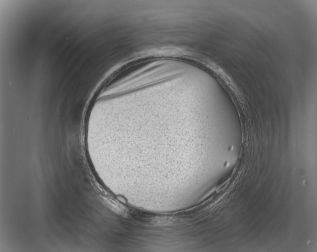 X0000082681232200702161650