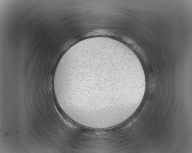 X0000082681233200702161650