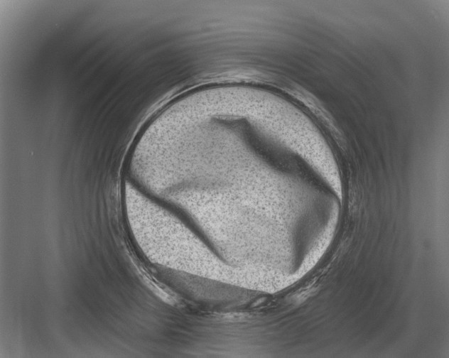 X0000082681234200702161650