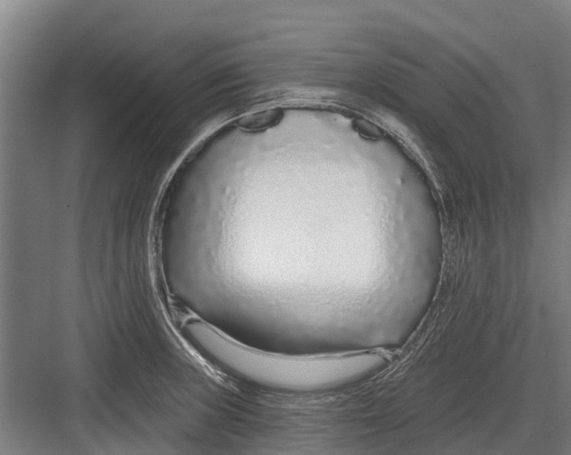 X0000082681235200702161650