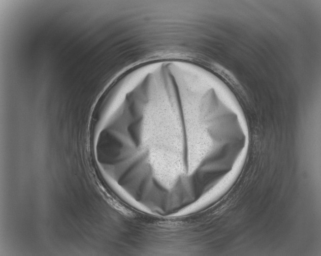 X0000082681236200702161650