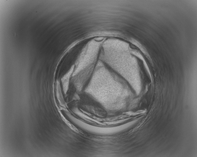 X0000082681237200702161650