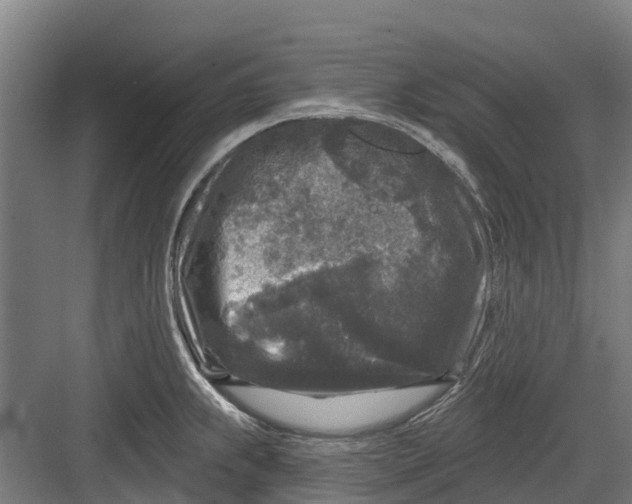 X0000082681239200702161650