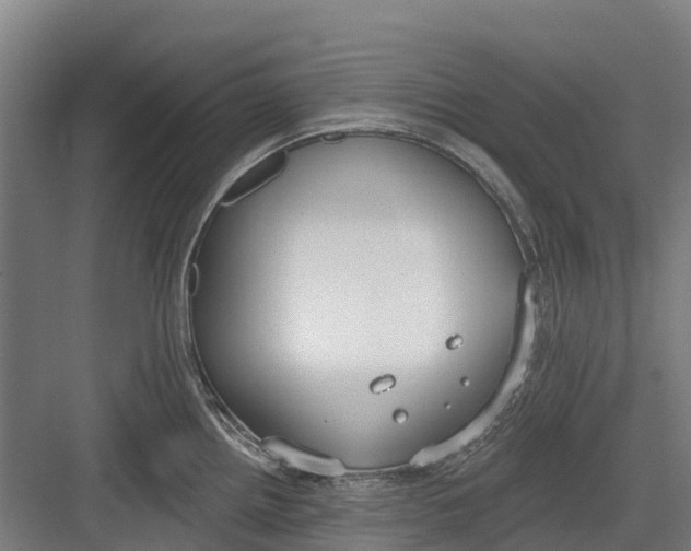 X0000082681242200702161650