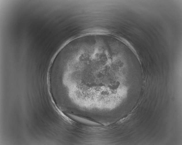 X0000082681243200702161650