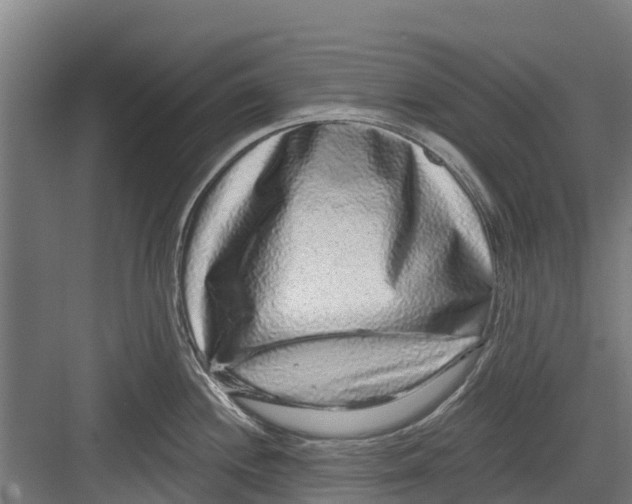 X0000082681244200702161650