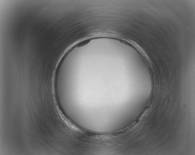 X0000082681246200702161650