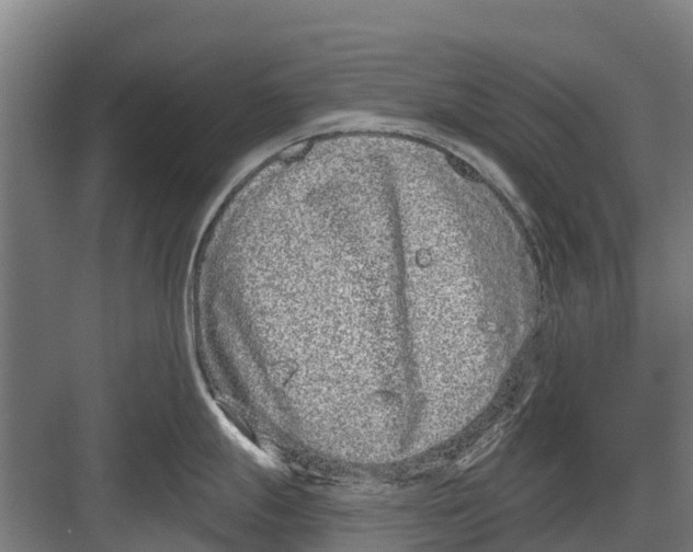 X0000082681247200702161650