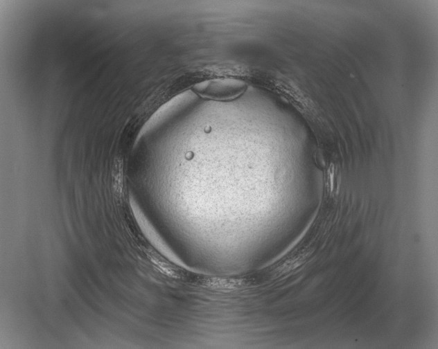 X0000082681251200702161649