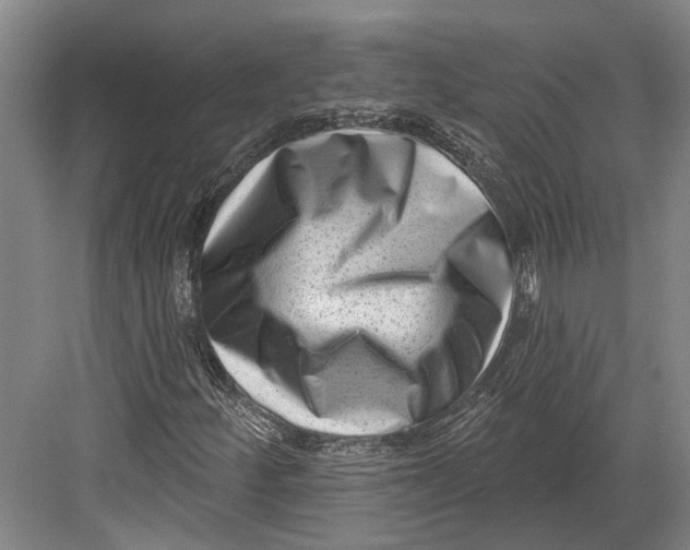 X0000082681252200702161649