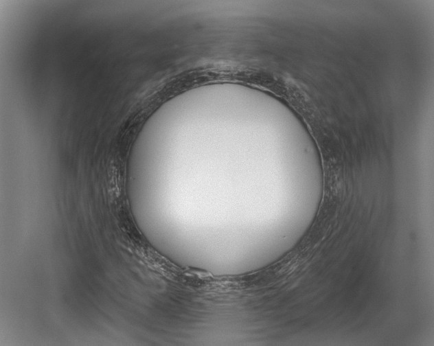 X0000082681253200702161649