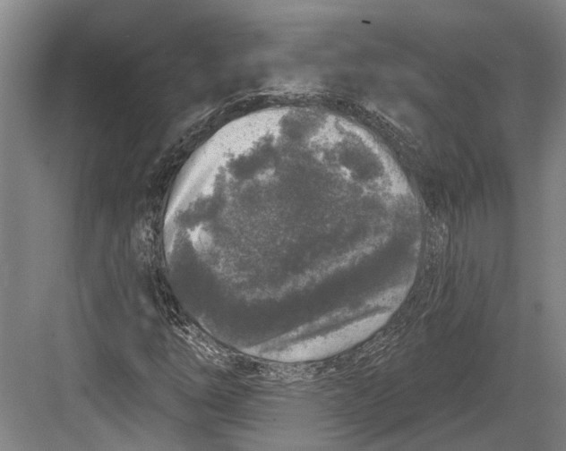 X0000082681254200702161649