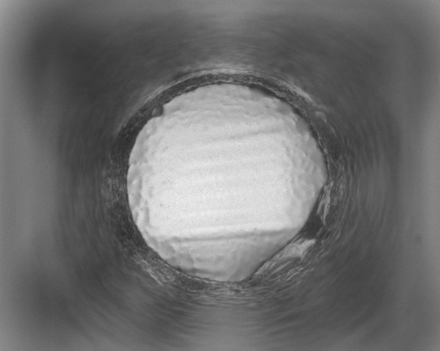 X0000082681255200702161649