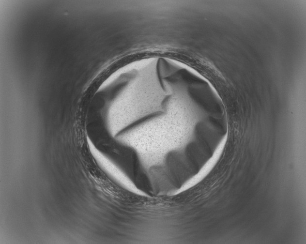 X0000082681256200702161649