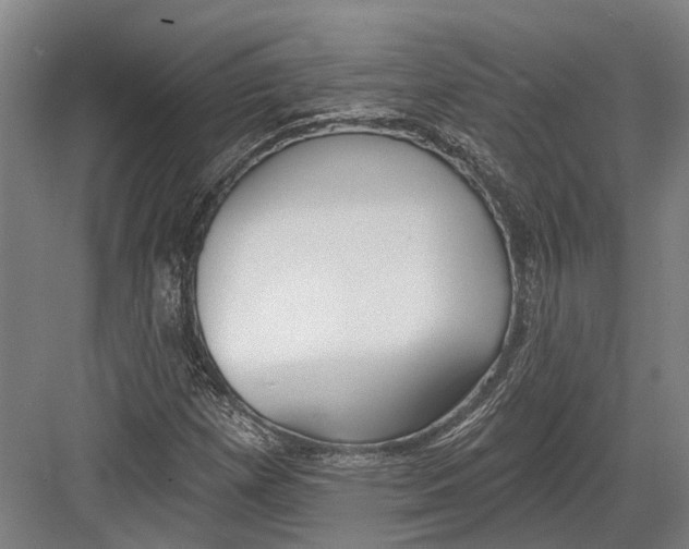 X0000082681257200702161649