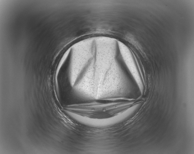 X0000082681260200702161649