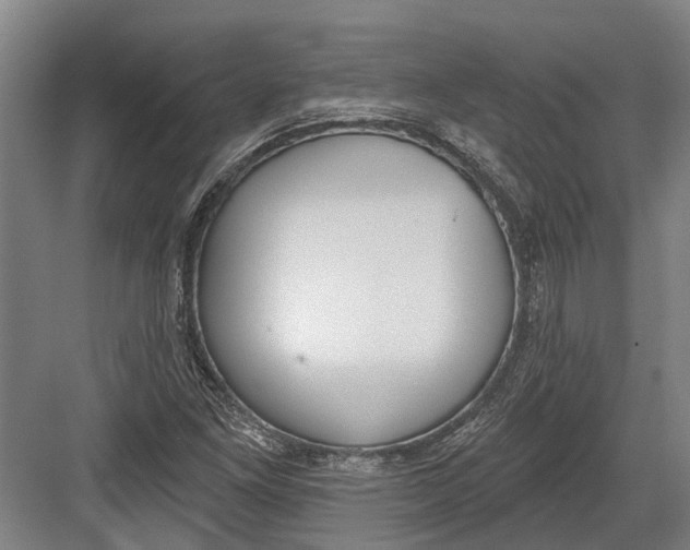 X0000082681261200702161649