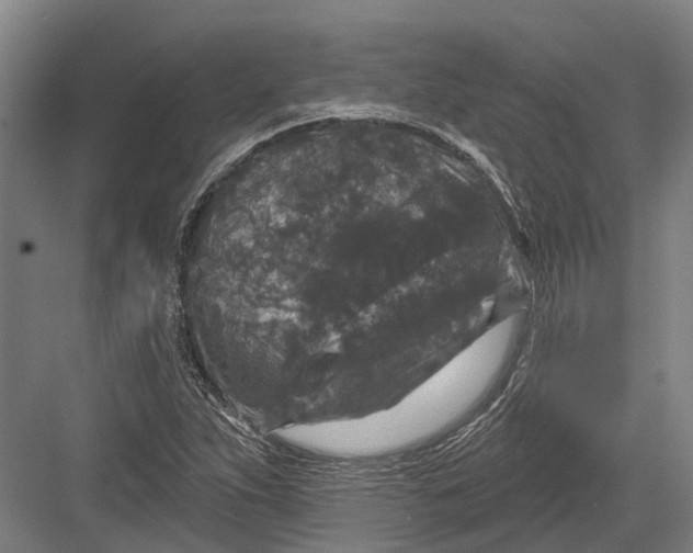 X0000082681263200702161649