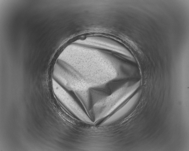 X0000082681264200702161649