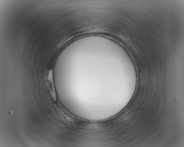 X0000082681265200702161649