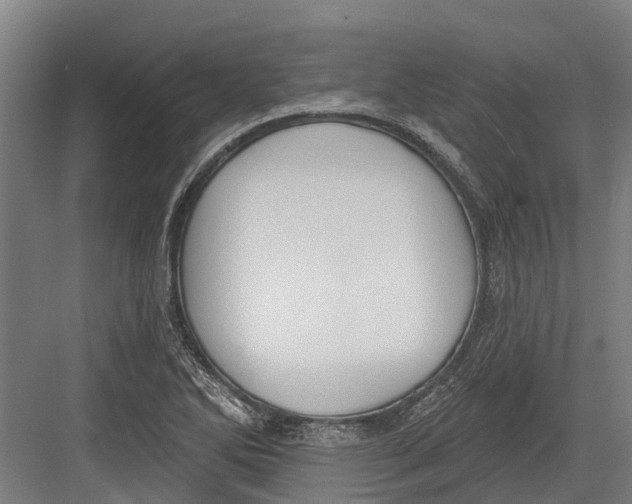 X0000082681270200702161649