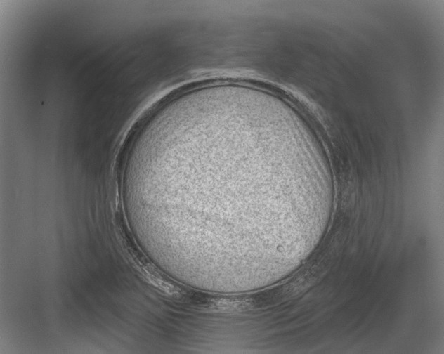 X0000082681271200702161649