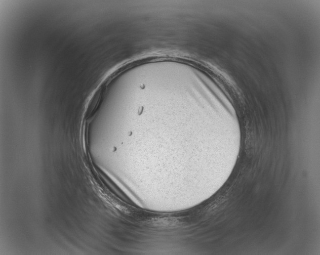 X0000082681272200702161649