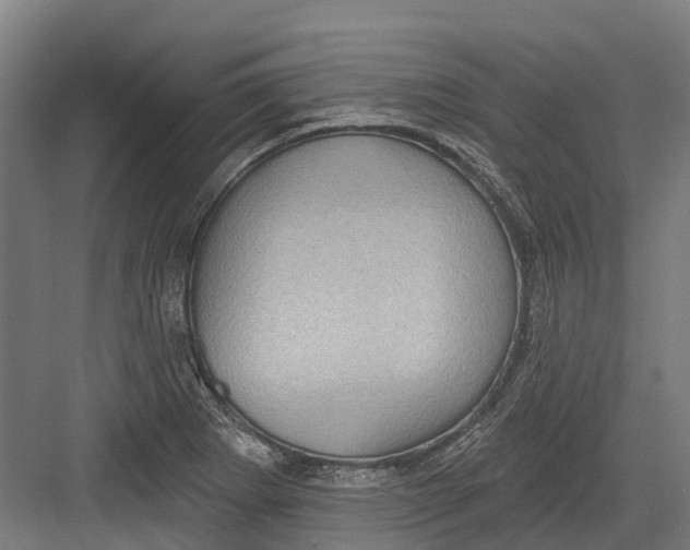 X0000082681273200702161649