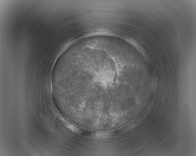 X0000082681274200702161649