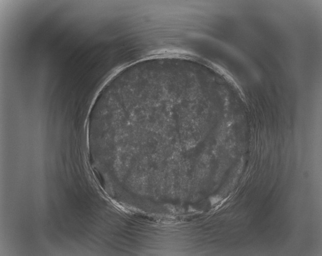 X0000082681275200702161649