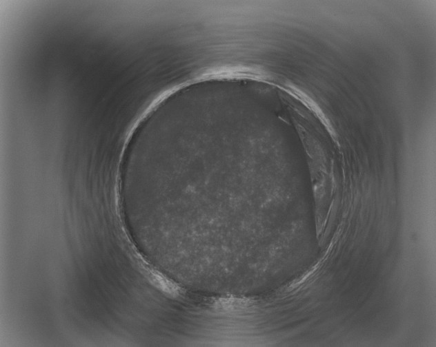 X0000082681277200702161649