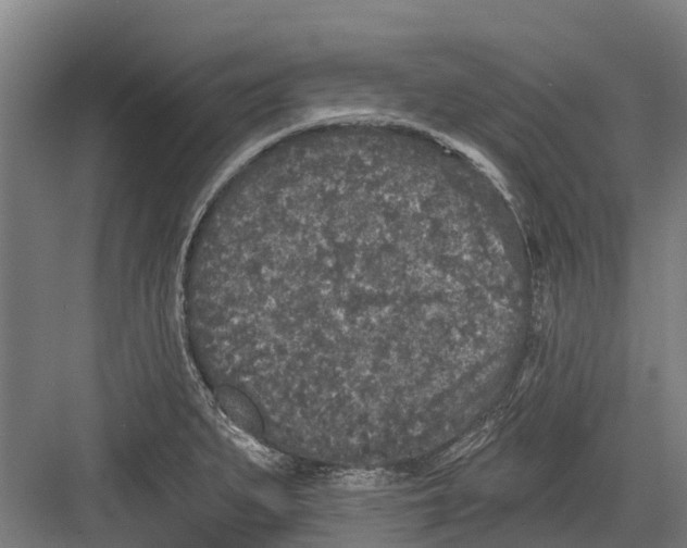 X0000082681279200702161649