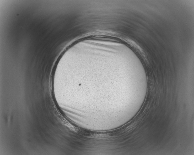 X0000082681280200702161649