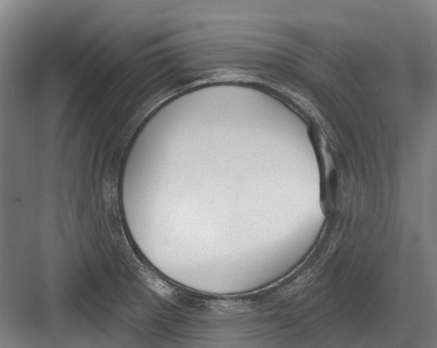 X0000082681281200702161649