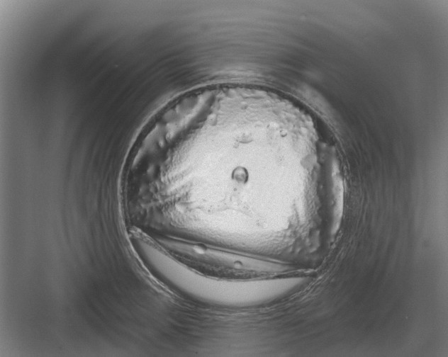 X0000082681283200702161649