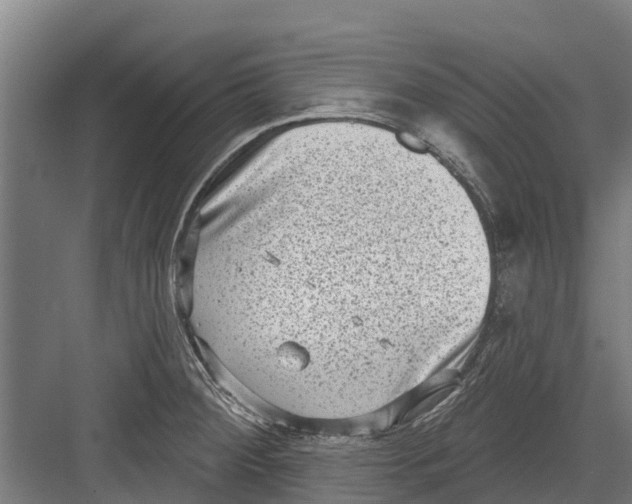 X0000082681284200702161648