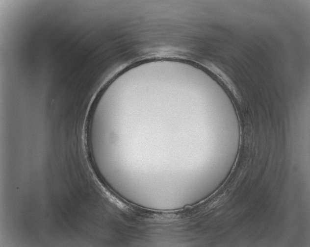 X0000082681285200702161648