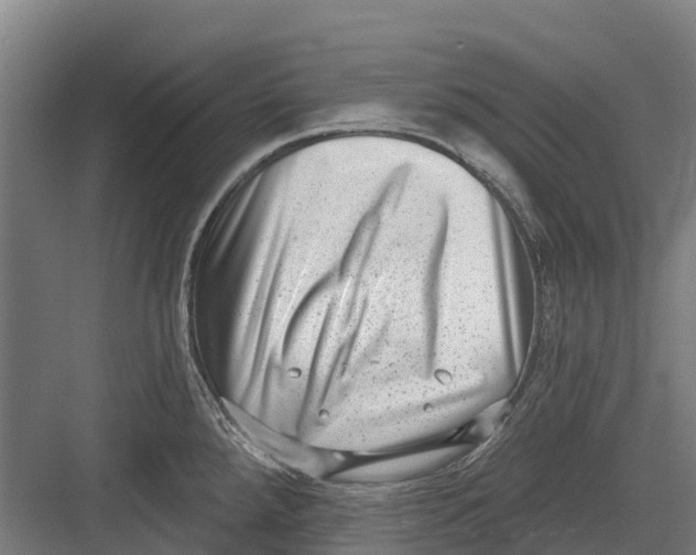 X0000082681288200702161648