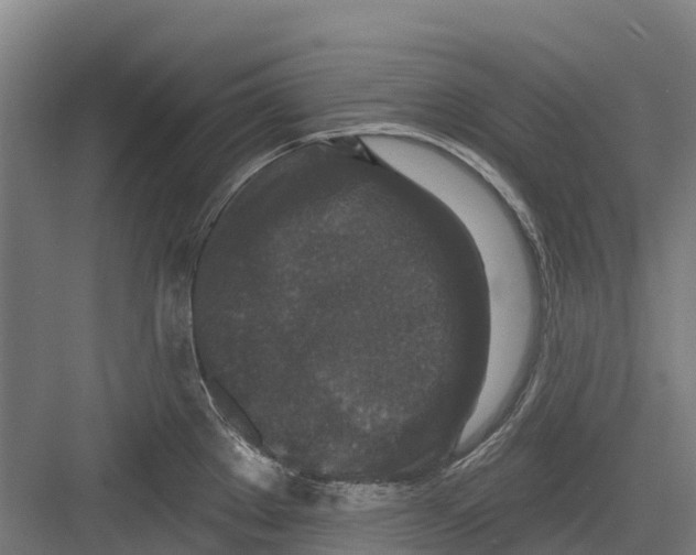 X0000082681289200702161648