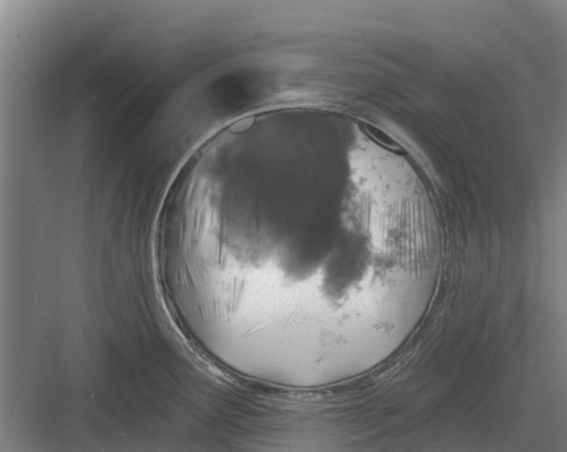 X0000082681291200702161648