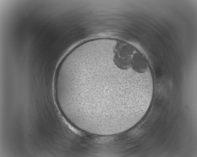 X0000082681294200702161648