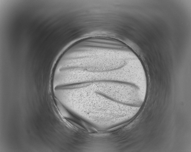 X0000082681296200702161648