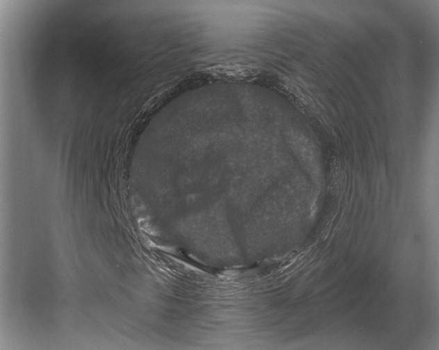 X0000082681297200702161647