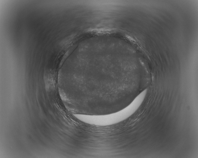 X0000082681300200702161648