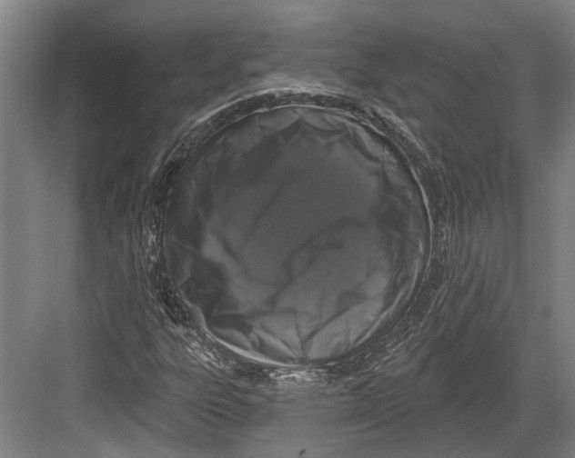 X0000082681303200702161648