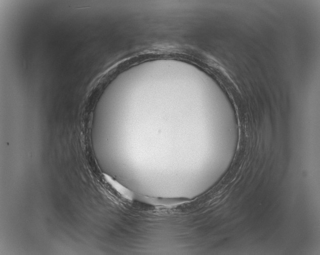 X0000082681304200702161648