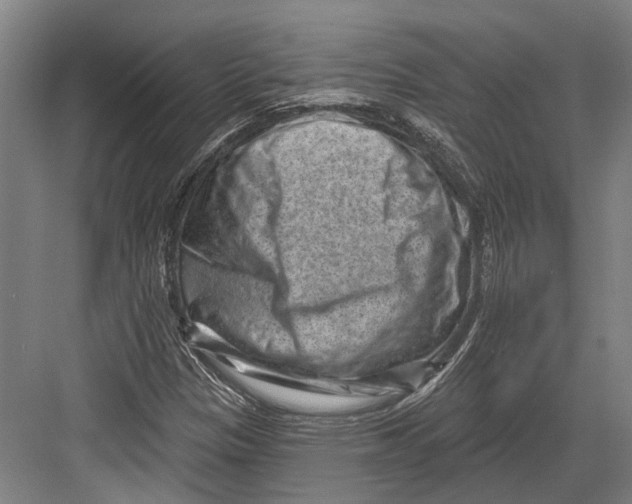 X0000082681305200702161648